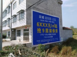 黄平墙体广告质量分析