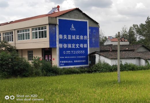 黄平决定墙体广告价格的因素有哪些？